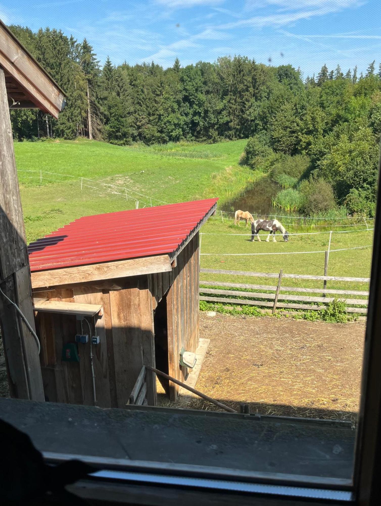 Ferienwohnung Metzner Gars Exteriör bild