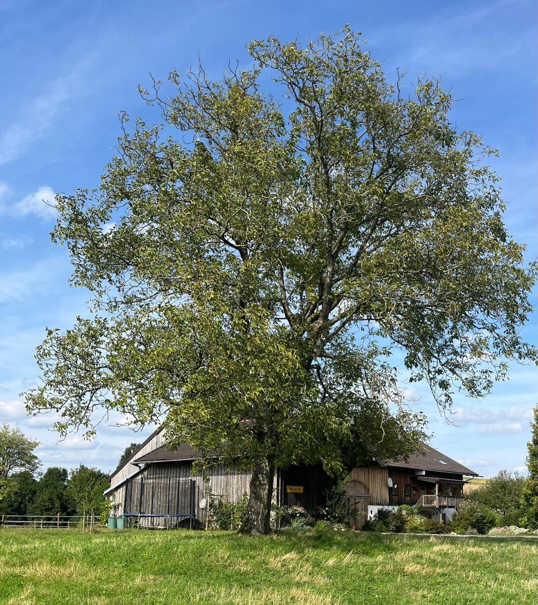 Ferienwohnung Metzner Gars Exteriör bild